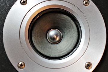 An image of speaker