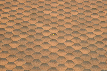 Roof tiles and yellow leaf