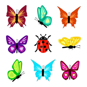 Schmetterlinge Marienkäfer isoliert Kollektion