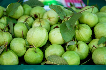 Guava in market organic vegetables.