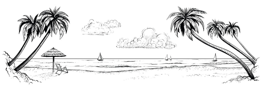 Panoramic vector beach view. Illustration with palms and parasol. Black and white handmade drawing.