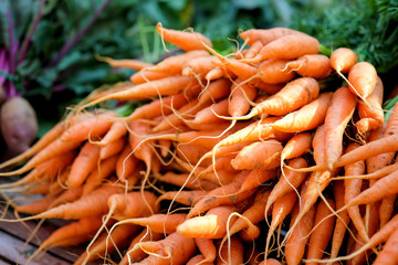 Carrots in market organic vegetables.