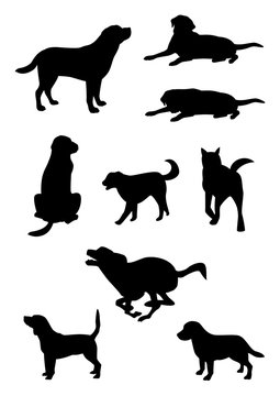 ビーグル Images Browse 36 Stock Photos Vectors And Video Adobe Stock