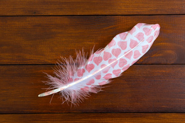 Bird feather with printed red hearts on dark wooden background