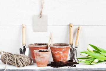Garden tools and tulips on the white wooden shelf