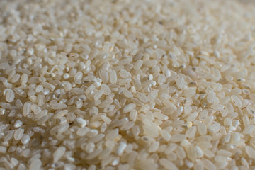 Rice grains macro closeup texture