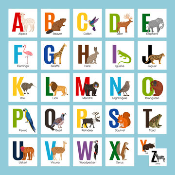 Alphabet with different animals