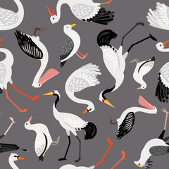 Seamless pattern with birds: crane, pelican, swan, albatross on dark background