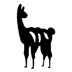 Silhouette of a vector isolated llama