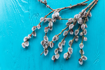 Easter concept , branches twigs on a wooden background