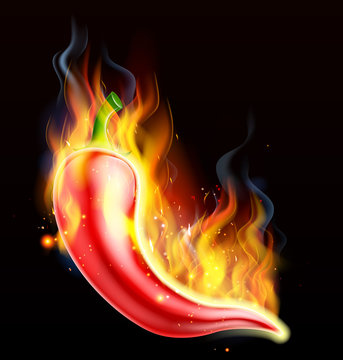 Red Hot Chilli Pepper on Fire