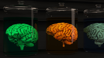 Human Brains in Science Laboratory Glasses © boscorelli