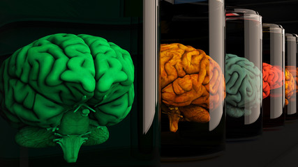 Human Brains in Science Laboratory Glasses © boscorelli