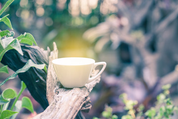 coffee or tea cup on branch