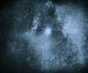 Mysterious forest. Grunge fantasy landscape.