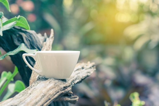coffee or tea cup on branch