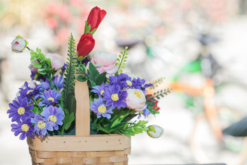 flower plant in basket 