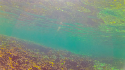 Mediterranean sea underwater.