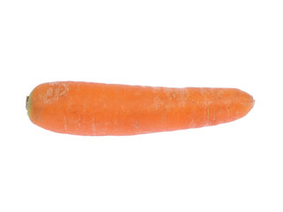 Carrot on white isolated background