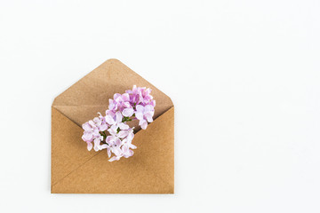 close up of opened craft paper envelope filled with spring blossom soft pale purple lilac flowers laying on white background. top view. concept of love and proposal. Flat lay. womens day. mothers day.