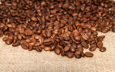 Roasted Coffee Beans