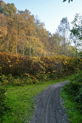 Lambro valley (Brianza, Italy) at fall