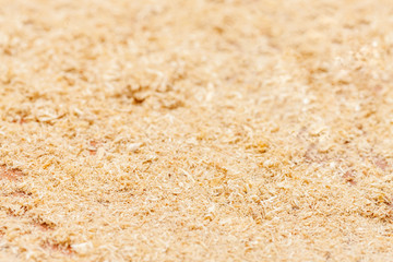 wood shavings background