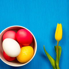 easter squared card, eggs in bowl with tulip on blue paper background