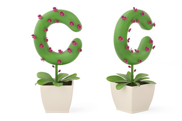 Plant alphabet C and flowerpot.3D illustration.