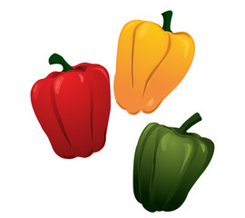 Paprika Isolated on White. Vector