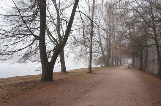 Landscape Misty Park In Winter Or Late Fall