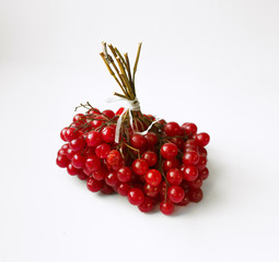 Bunch of red viburnum berries on white background, winter berry