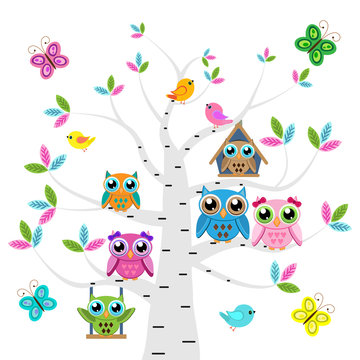 Сolorful owls and birds on the tree  with butterflies on a white background