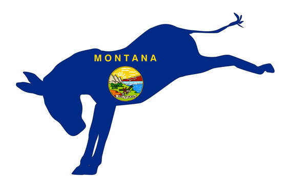 Montana Democrat Donkey Flag