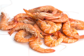 crevettes