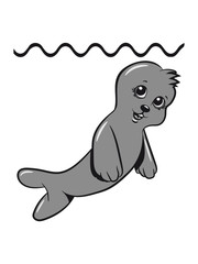 Fototapeta premium Seehund sweet water