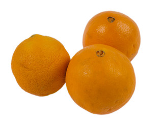 Withered oranges on white isolated background