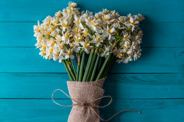 turkuaz zeminde nergis çiçekleri