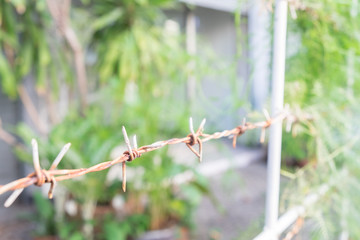 close up old, dirty and rusty barbed wire with blur garden background.