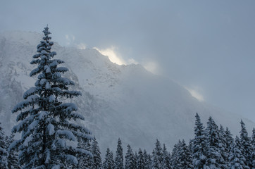 Mountain peaks early in the morning in winter
