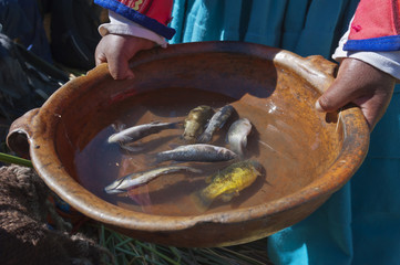 fish