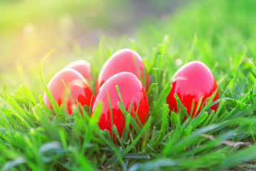 Easter eggs in grass