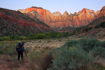 Fototapeta premium Dawn at Towers of the Virgin, Zion National Park, Utah