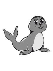 Seebund sweet darling drollig