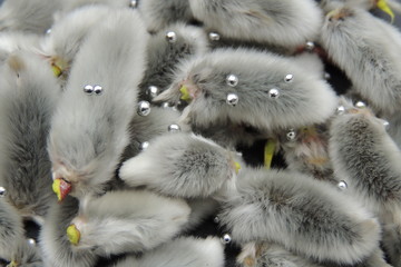 пушистые почки вербы весной с блестящими шариками крупным планом 