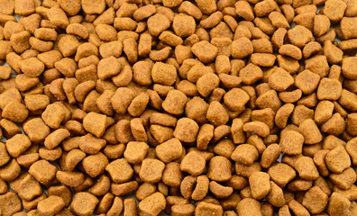 Dried cat food. Background