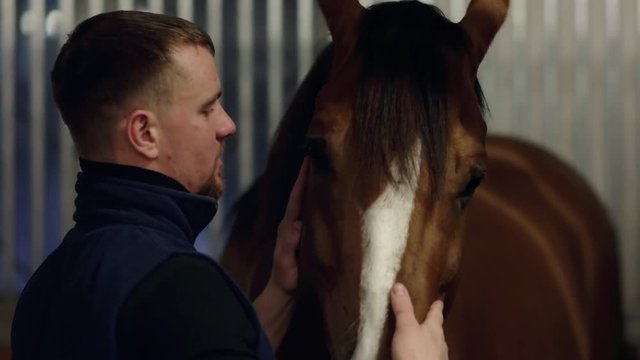 Close up portrait of a man feeding and caressing a horse. Young guy playing with brown horse in a stabled. Care and love for the animals.
