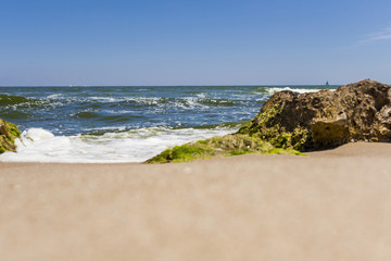 Big stones on the beach with seaweed