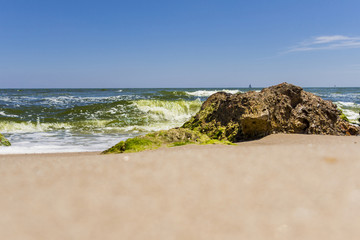 Big stones on the beach with seaweed