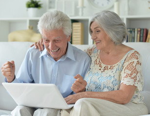 Elderly couple with a laptop